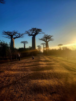 /album/fotogaleria-madagaskar-zajazd-vy-a-my1/madagaskar-zajazd-140-jpg2/